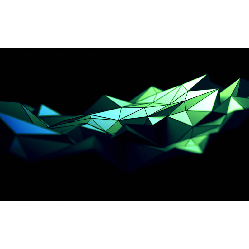 Modernist 3D Geometric Mural for Accent Wall Personalized Wall Art in Green on Black