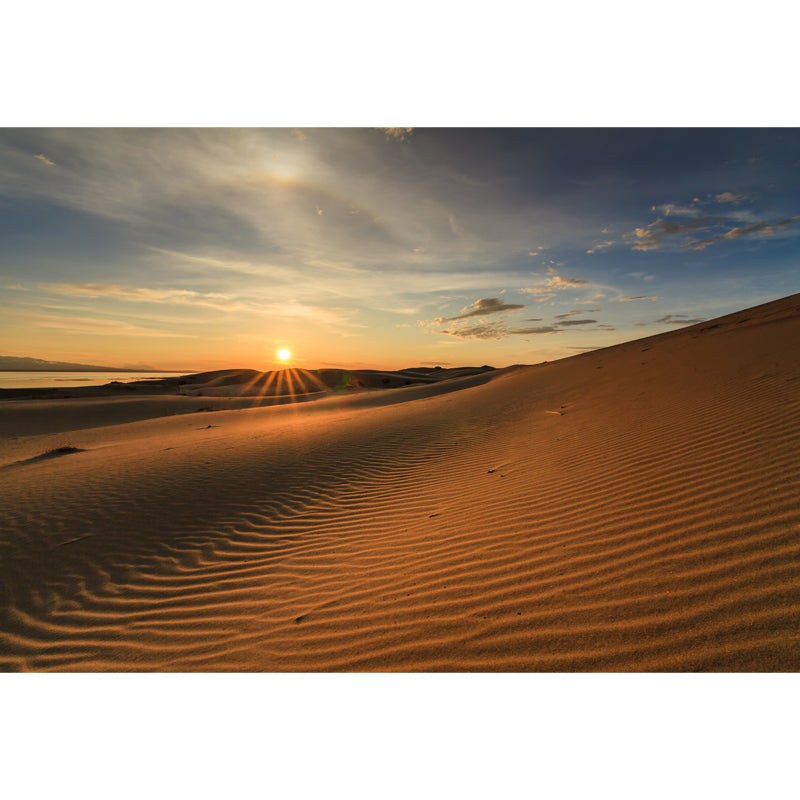 Abroad Sand Dune Waves Mural for Home Sunset Desert Landscape Wall Decor, Custom Made