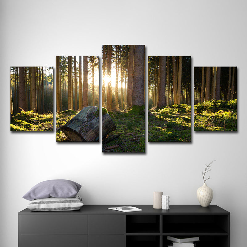 Sunrise in Forest Canvas Art Dark Green Contemporary Wall Decoration for Bedroom