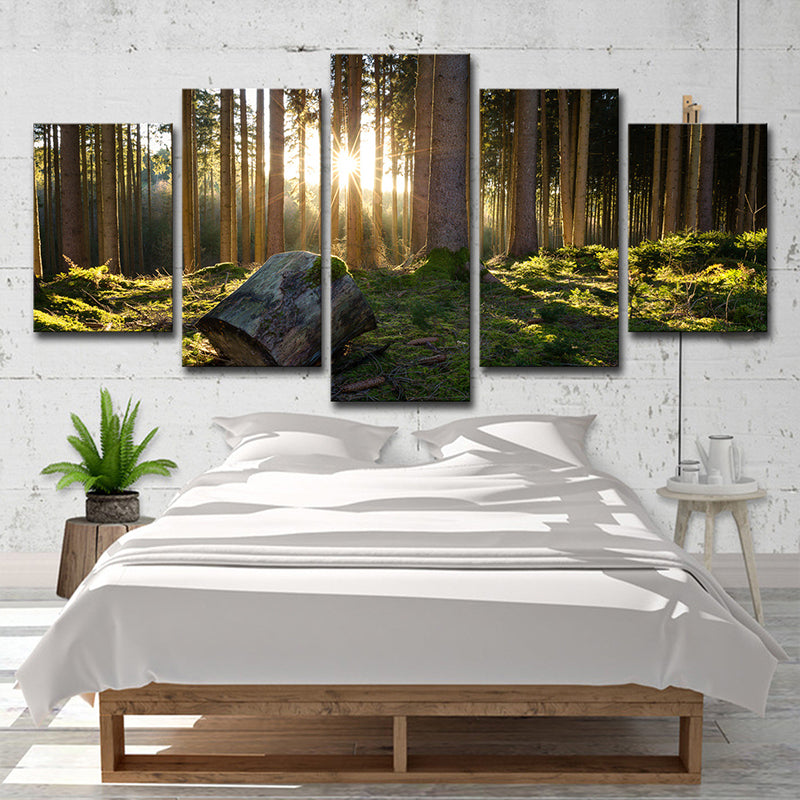 Sunrise in Forest Canvas Art Dark Green Contemporary Wall Decoration for Bedroom