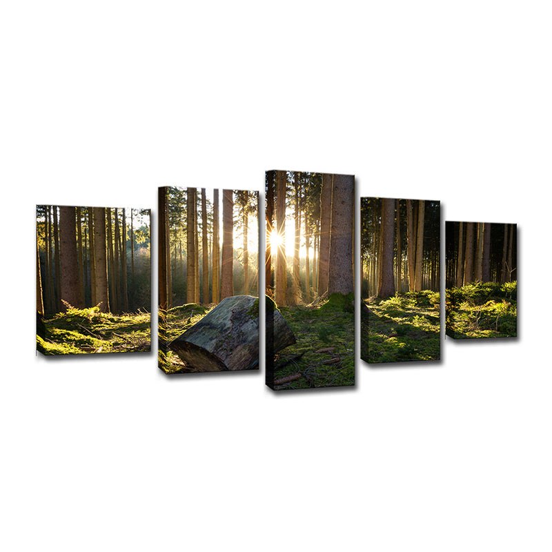 Sunrise in Forest Canvas Art Dark Green Contemporary Wall Decoration for Bedroom