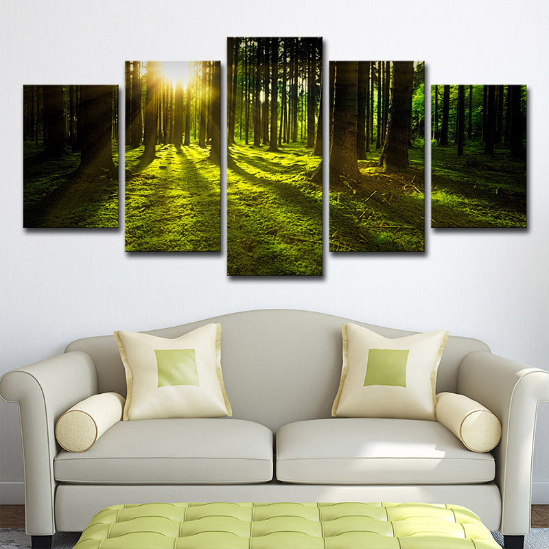 Sunshine Shines Through Forest Canvas Multi-Piece Modern Living Room Wall Art in Green