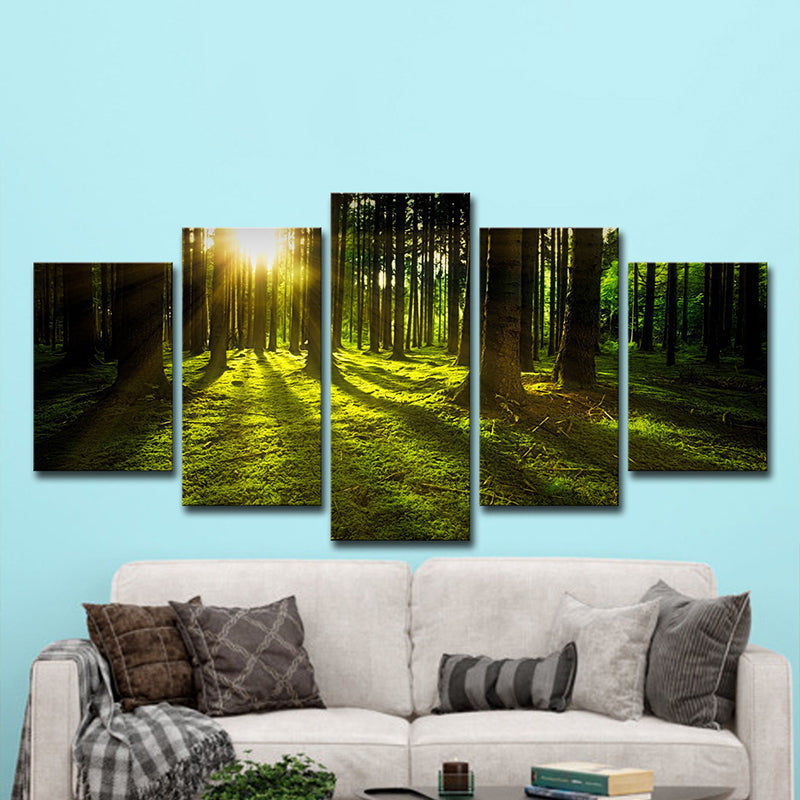 Sunshine Shines Through Forest Canvas Multi-Piece Modern Living Room Wall Art in Green