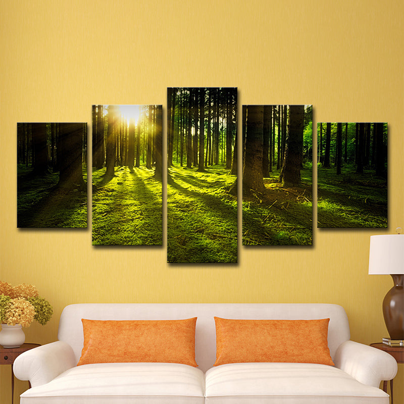 Sunshine Shines Through Forest Canvas Multi-Piece Modern Living Room Wall Art in Green