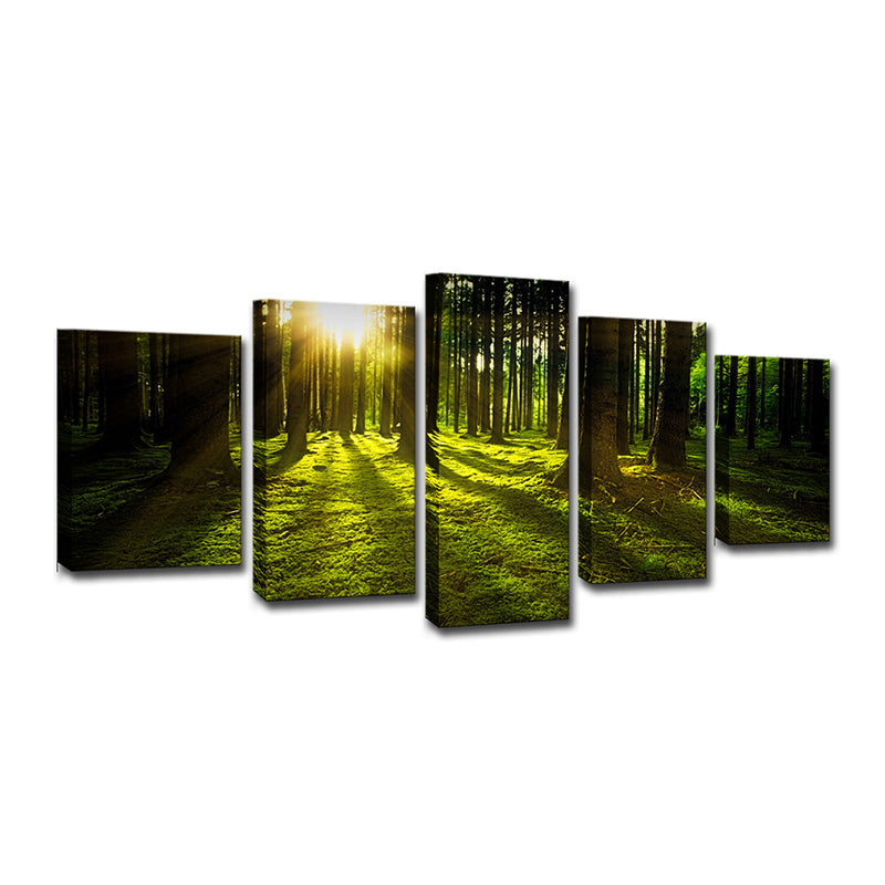 Sunshine Shines Through Forest Canvas Multi-Piece Modern Living Room Wall Art in Green