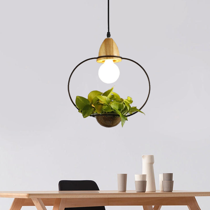 Zwart/wit 1 bol druppel hanger industrieel metalen ovaal/rechthoek/urn LED -plantenhangend plafondlicht voor restaurant