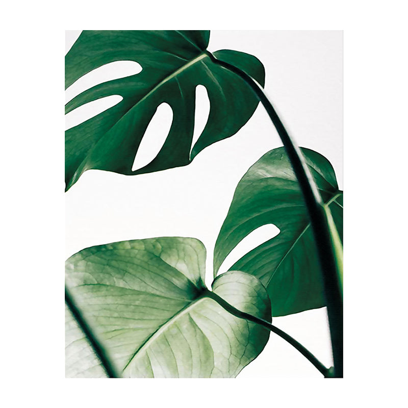 Textured Monstera Leaves Wall Decor Tropical Canvas Wall Art for Living Room