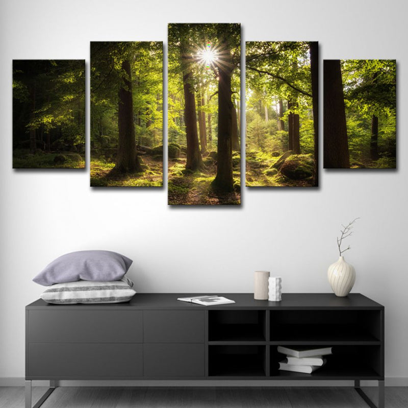 Sun Shines Through Forest Canvas Contemporary Multi-Piece Wall Art Print in Green