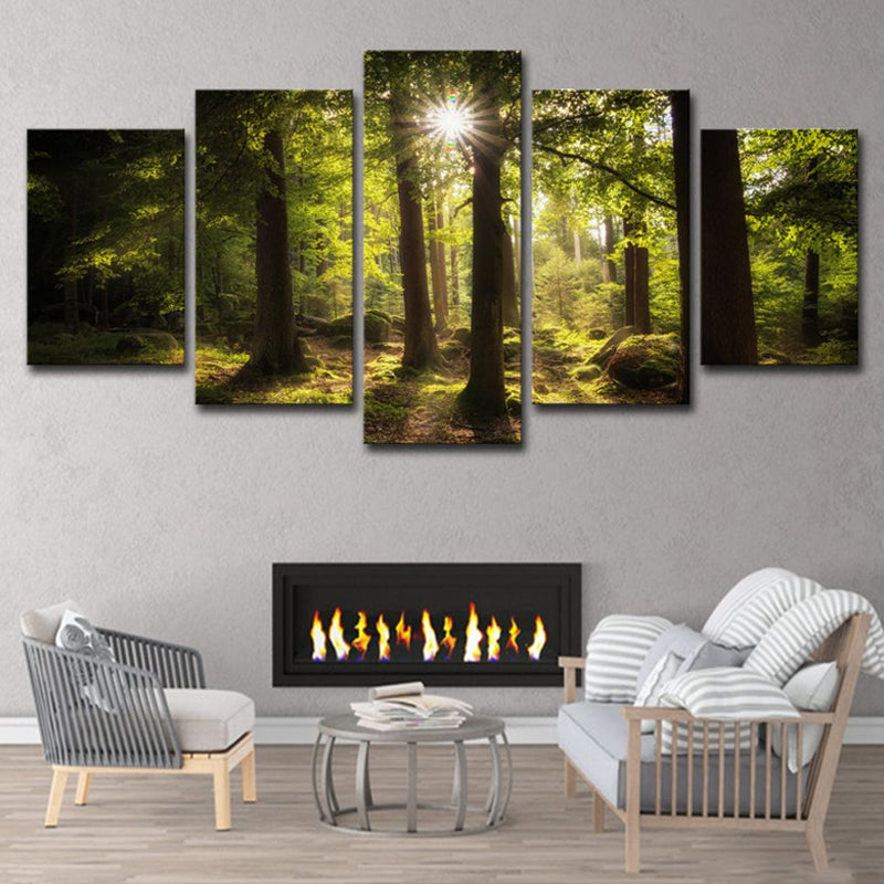 Sun Shines Through Forest Canvas Contemporary Multi-Piece Wall Art Print in Green