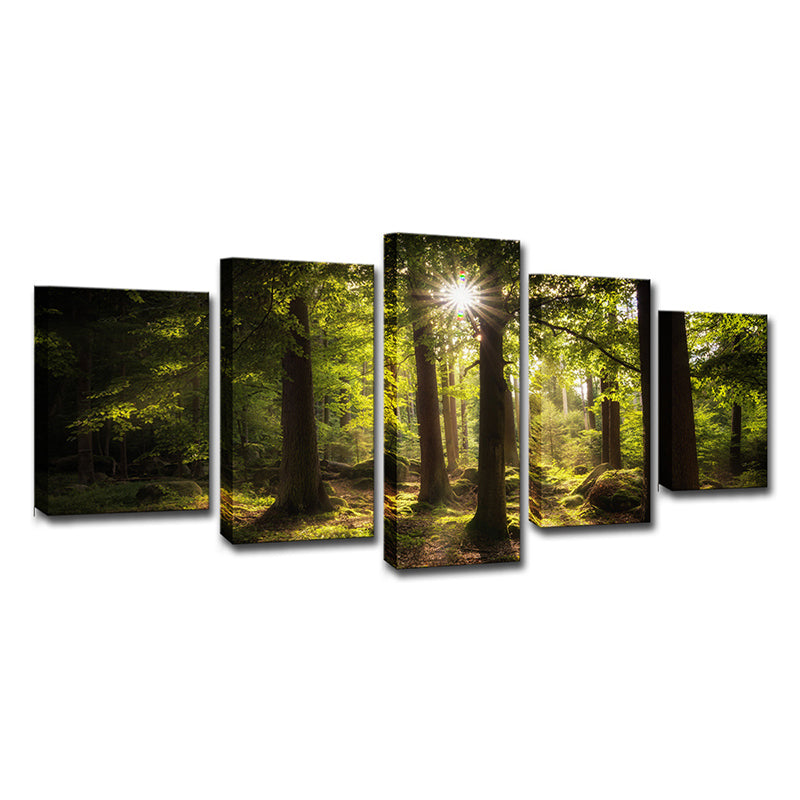 Sun Shines Through Forest Canvas Contemporary Multi-Piece Wall Art Print in Green