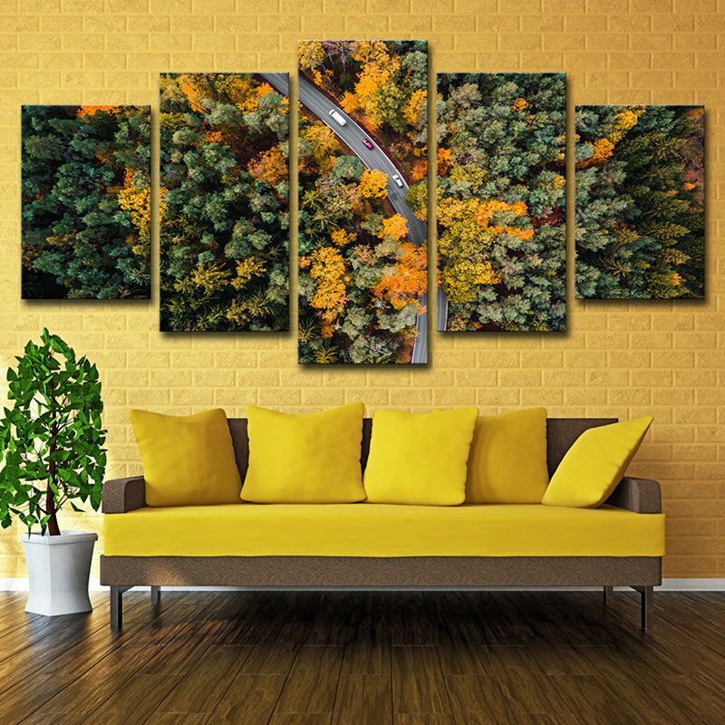 Aerial Photography Forest Road Canvas Wall Art for Sitting Room, Orange and Green