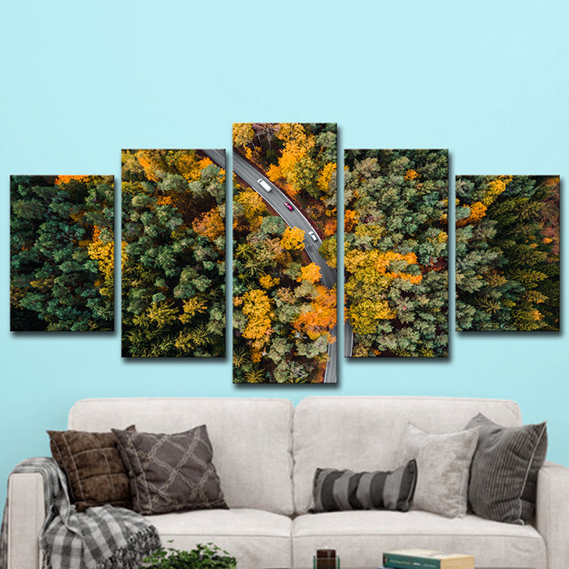 Aerial Photography Forest Road Canvas Wall Art for Sitting Room, Orange and Green