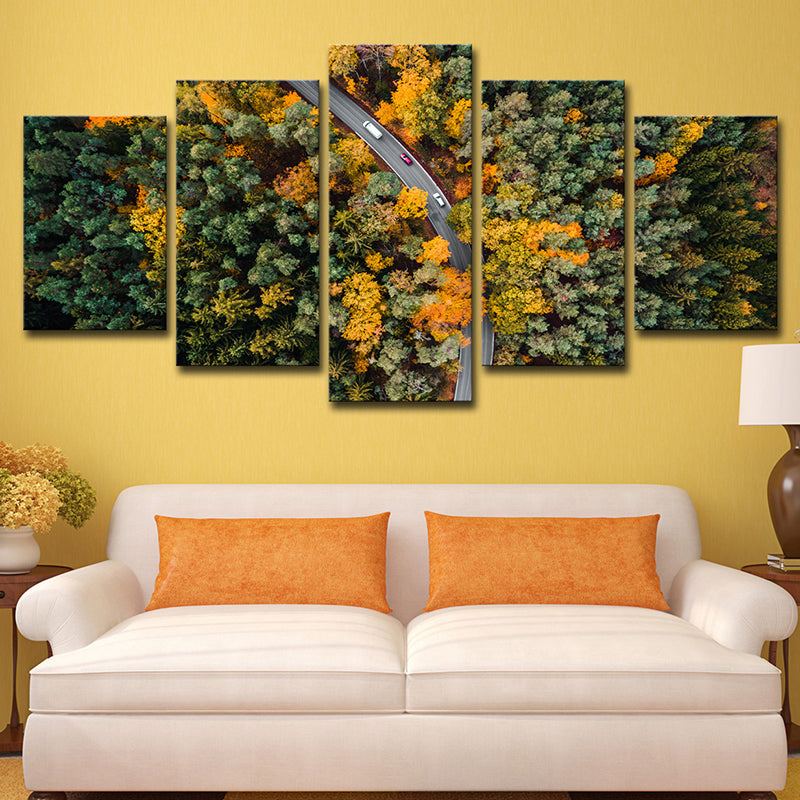 Aerial Photography Forest Road Canvas Wall Art for Sitting Room, Orange and Green