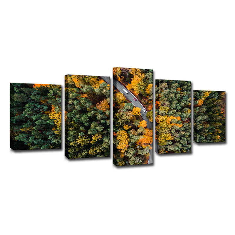 Aerial Photography Forest Road Canvas Wall Art for Sitting Room, Orange and Green