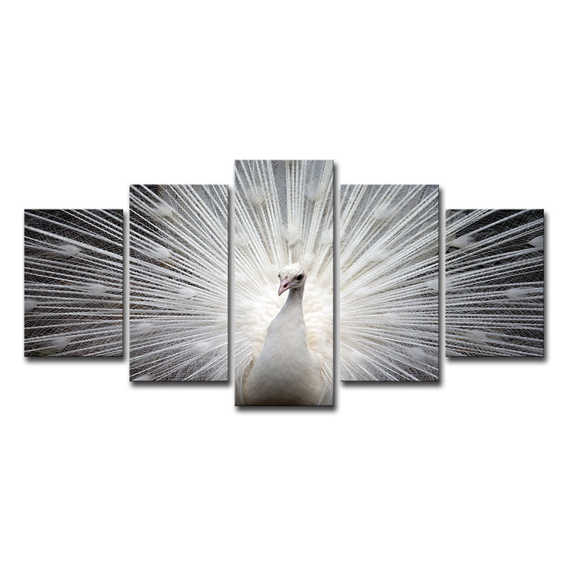 Peafowl Wall Art in White Canvas Print for Home Decoration, Multiple-Piece