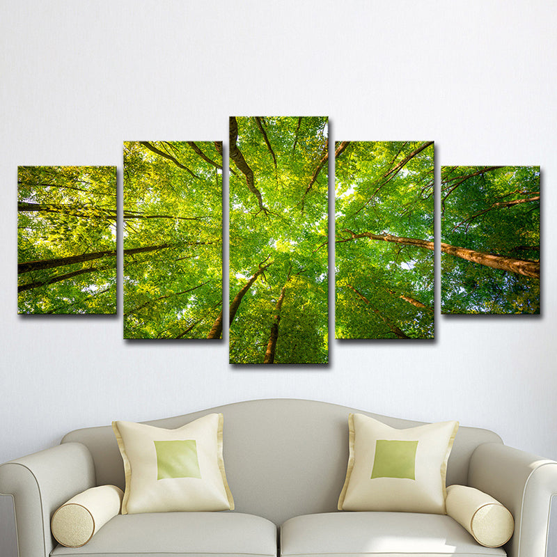 Modern Scenery Canvas Art Green Looking-Up into Forest Trees Wall Decor for Home