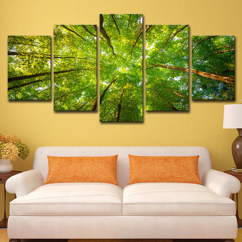 Modern Scenery Canvas Art Green Looking-Up into Forest Trees Wall Decor for Home