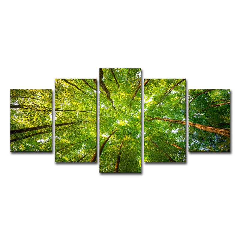 Modern Scenery Canvas Art Green Looking-Up into Forest Trees Wall Decor for Home