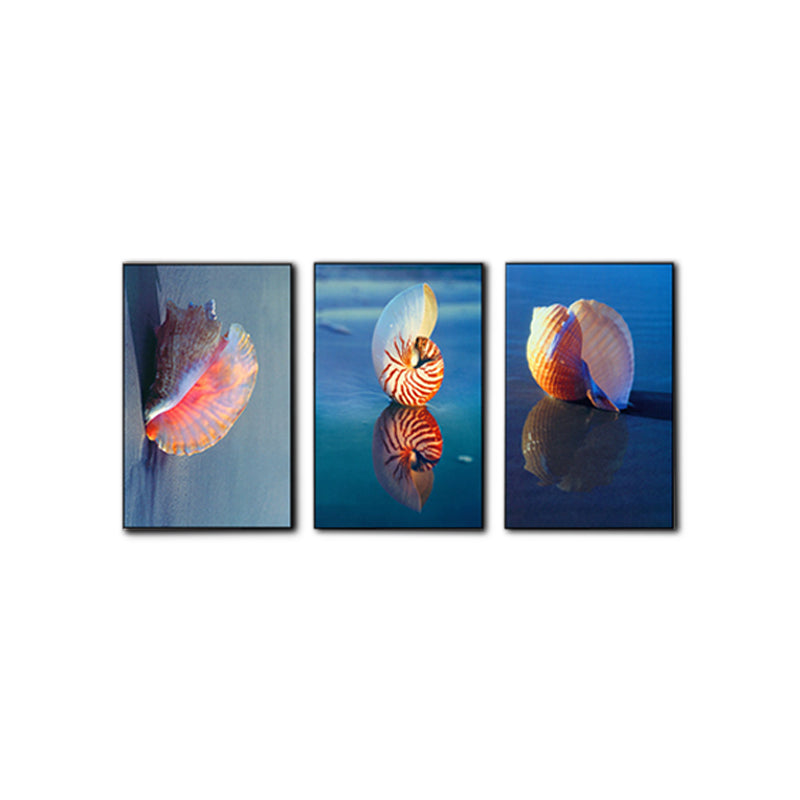 Photo Printed Sea Shell Canvas Wall Art for Living Room, Blue and Pink, Set of 3