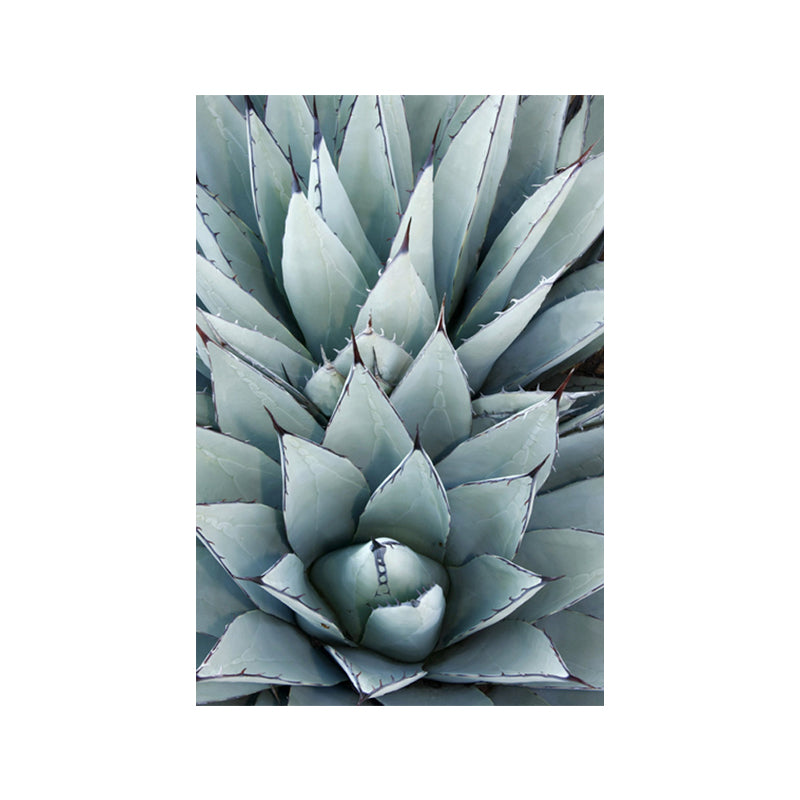 Modern Botanic Aloe Vera Canvas Print Pastel Color Textured Wall Art for Room