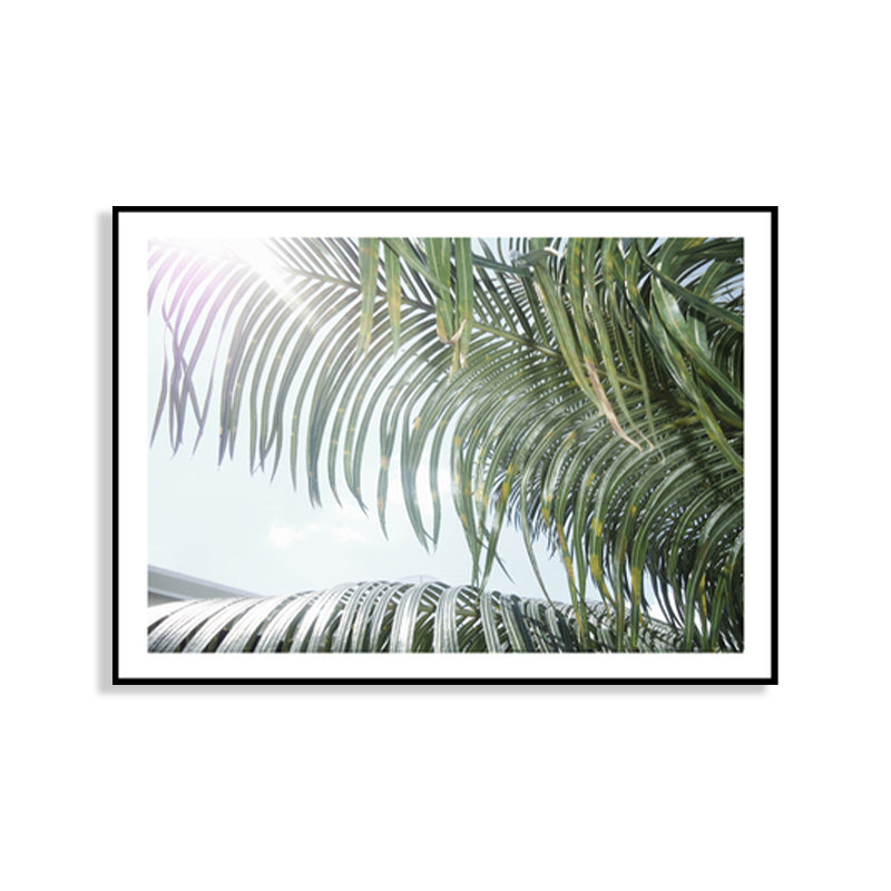 Photograph Print Palm Branch Canvas Green Tropical Wall Art Decor for Sitting Room