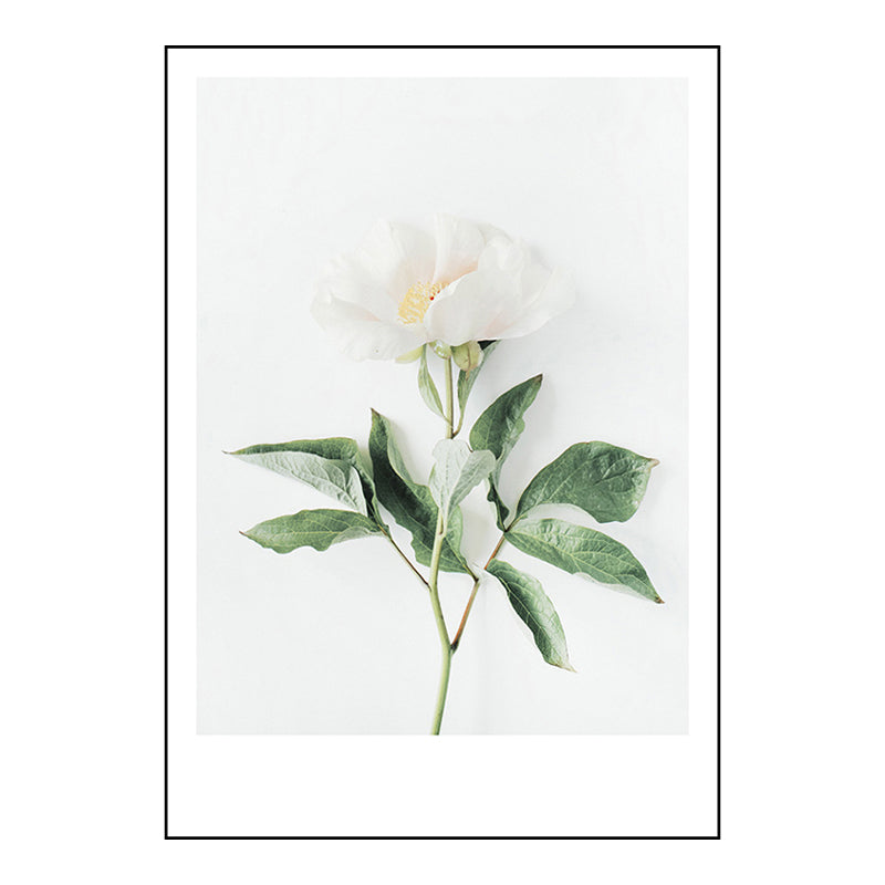 Modern Style Wall Art Print Light Color Botanical Painting, Multiple Sizes Available