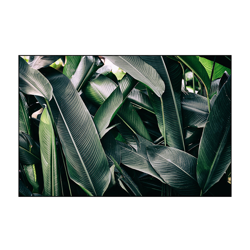 Banana Leaves Canvas Print Green Contemporary Style Wall Art Decor for Living Room