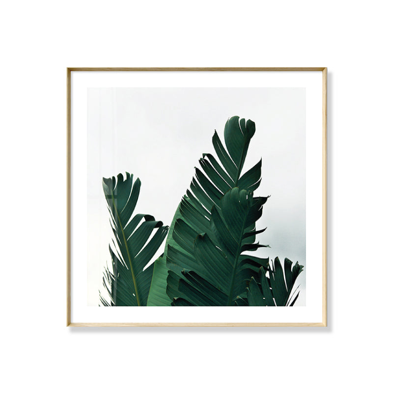 Green Banana Leaves Canvas Print Botanical Tropix Textured Wall Art for Dining Room