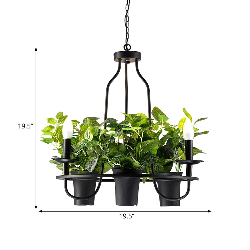 3/6 Bulbs Bonsai Ceiling Chandelier Vintage 1/2-Layer Iron Pendant Light in Black, 19.5"/27.5" Width