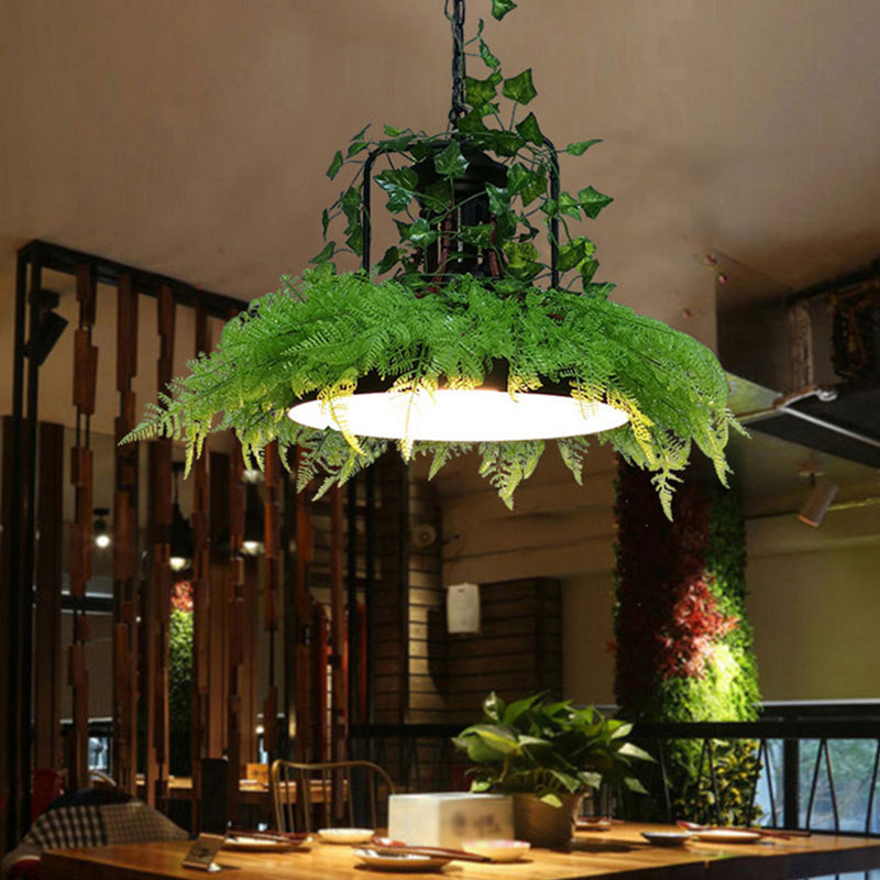 Burst/Barn/Birdcage Plant LED Pendant Lamp Industrial Pink/Green/Purple Finish Iron Hanging Chandelier for Bistro