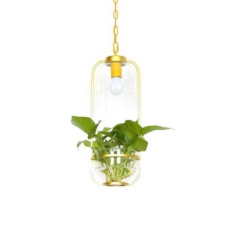 Iron Black/White/Gold Hanging Light Rectangle Farmhouse LED Pendant Lamp in Warm/White Light with Plant Pot