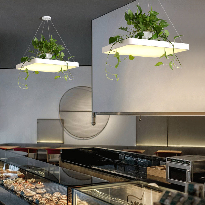 Vierkant restaurant plafond hanger Noordse acryl zwart/wit/blauw LED hangende lampkit met plantencontainer, 16 "/19,5" w