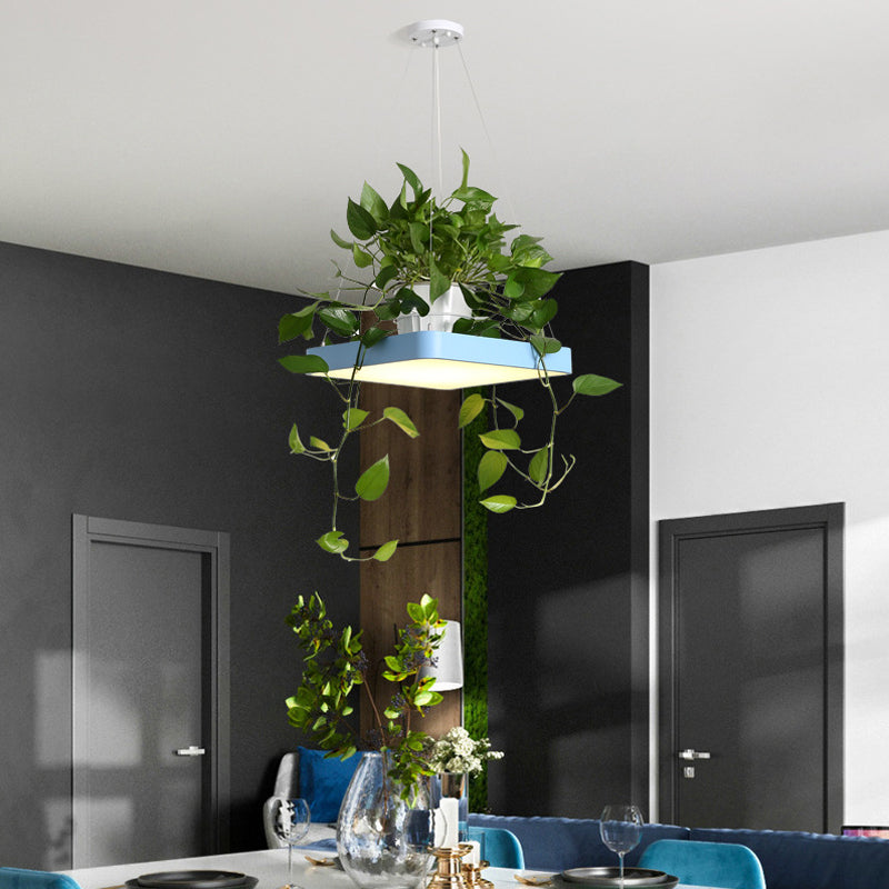 Square Restaurant Ceiling Pendant Nordic Acrylic Black/White/Blue LED Hanging Lamp Kit with Plant Container, 16"/19.5" W