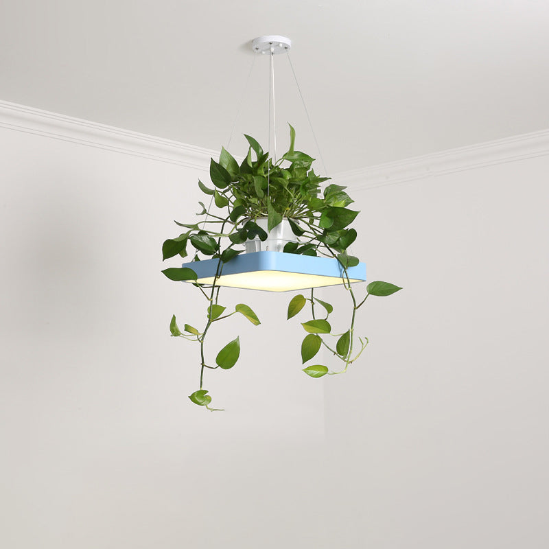 Square Restaurant Ceiling Pendant Nordic Acrylic Black/White/Blue LED Hanging Lamp Kit with Plant Container, 16"/19.5" W