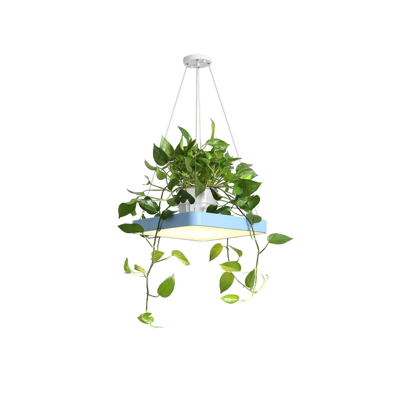 Square Restaurant Ceiling Pendant Nordic Acrylic Black/White/Blue LED Hanging Lamp Kit with Plant Container, 16"/19.5" W