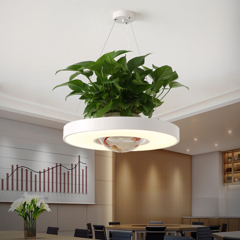 16"/19.5" W Acrylic LED Ceiling Hang Light Nordic Black/White/Green Circle Dining Room Down Lighting with Fish Bowl