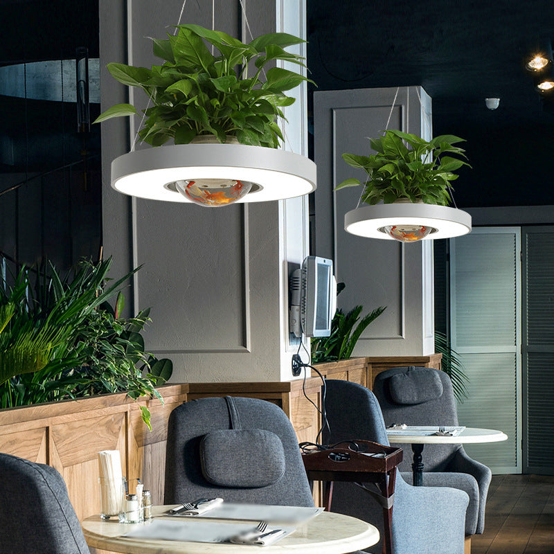 16"/19.5" W Acrylic LED Ceiling Hang Light Nordic Black/White/Green Circle Dining Room Down Lighting with Fish Bowl