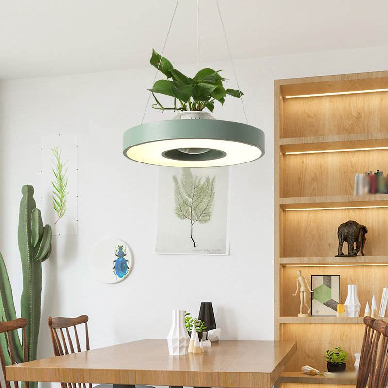 16"/19.5" W Acrylic LED Ceiling Hang Light Nordic Black/White/Green Circle Dining Room Down Lighting with Fish Bowl