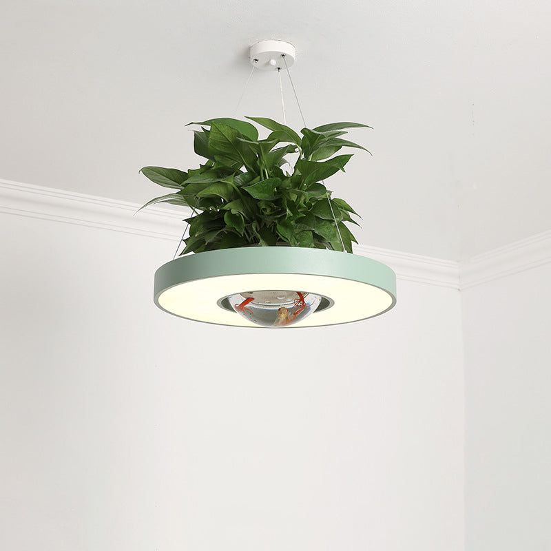 16"/19.5" W Acrylic LED Ceiling Hang Light Nordic Black/White/Green Circle Dining Room Down Lighting with Fish Bowl