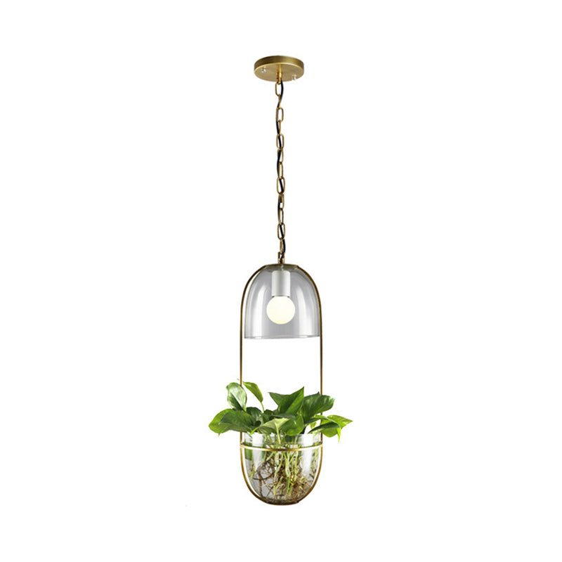 1 Bulb Pendant Light Antique Hemisphere Planter Clear Glass Hanging Light Fixture with Oblong Frame in Gold