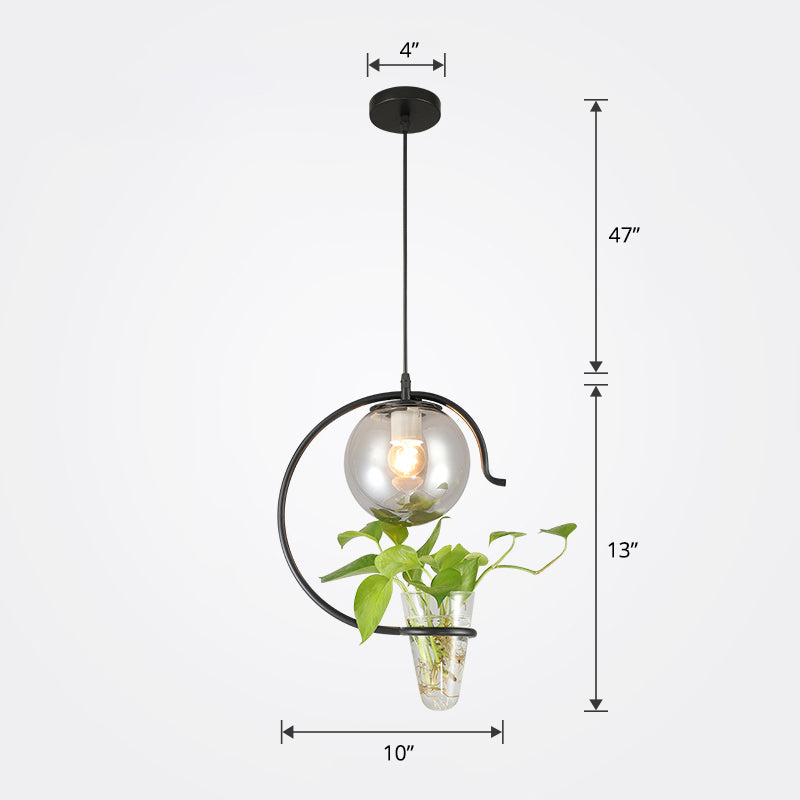 Ball Restaurant Hanging Light Loft Glass 1-Light Pendulum Light with Cone Plant Container