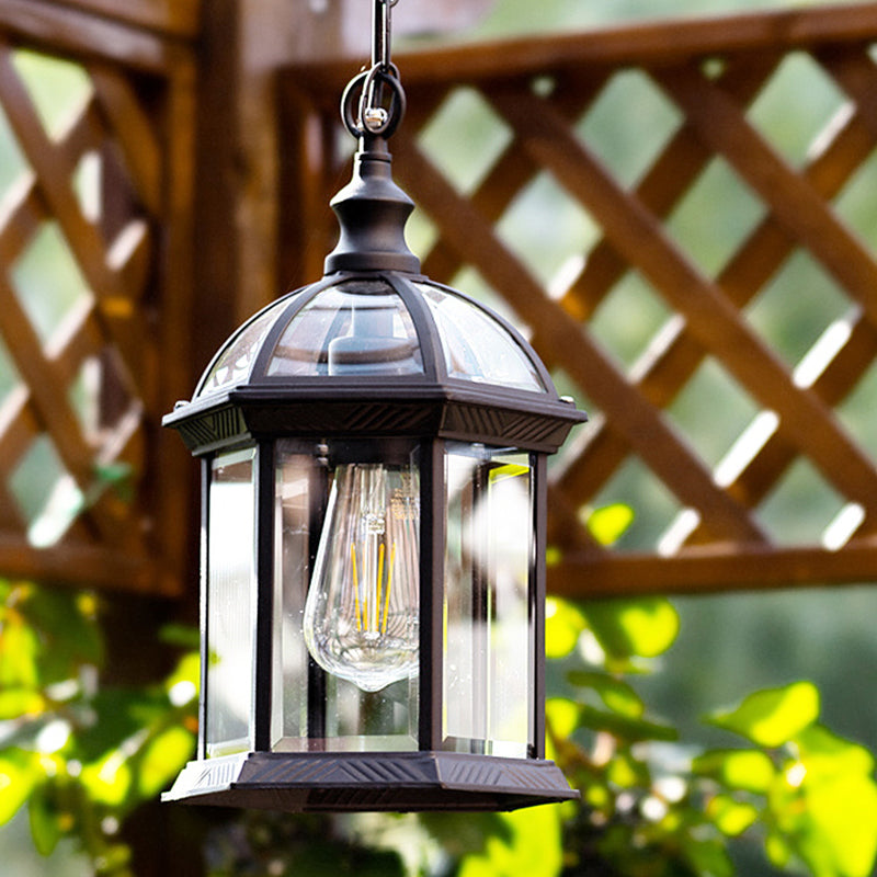 Clear Glass Birdcage Suspension Light Vintage 1-Light Outdoor Hanging Pendant Light