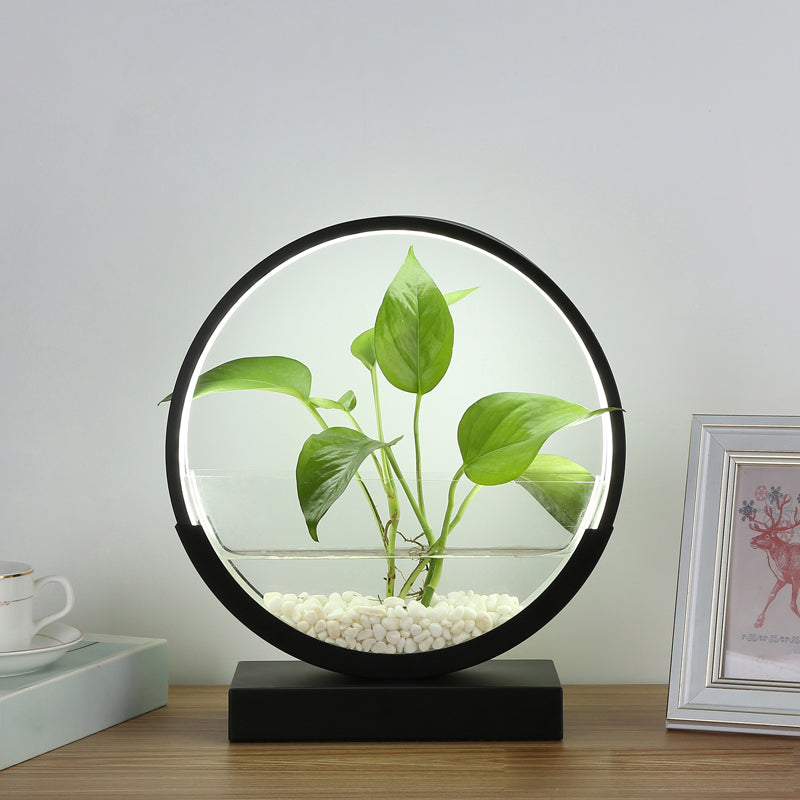 Nordic Circle Table Lamp Acrylic Bedroom LED Night Light with Hydroponics Plant Pot Design