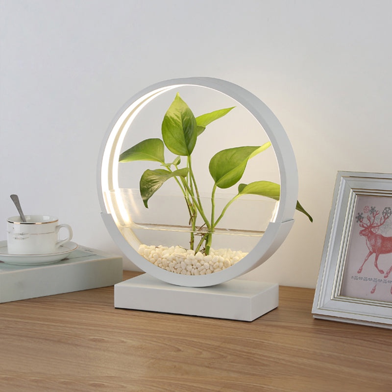 Nordic Circle Table Lamp Acrylic Bedroom LED Night Light with Hydroponics Plant Pot Design