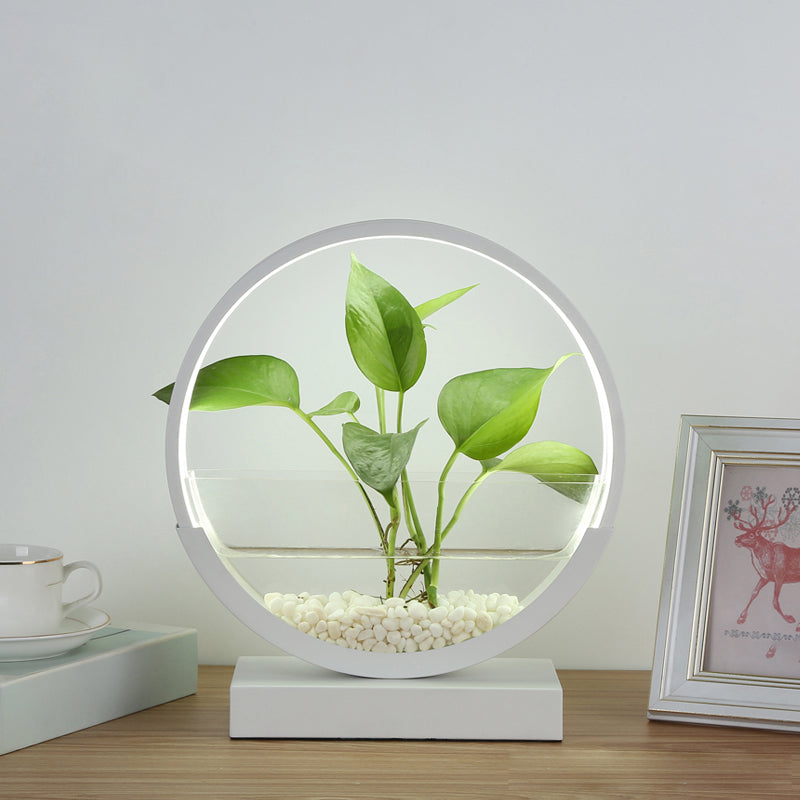 Nordic Circle Table Lamp Acrylic Bedroom LED Night Light with Hydroponics Plant Pot Design