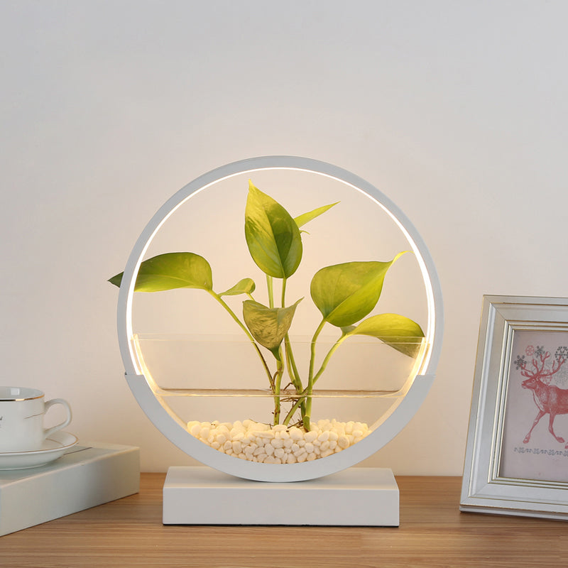 Nordic Circle Table Lamp Acrylic Bedroom LED Night Light with Hydroponics Plant Pot Design