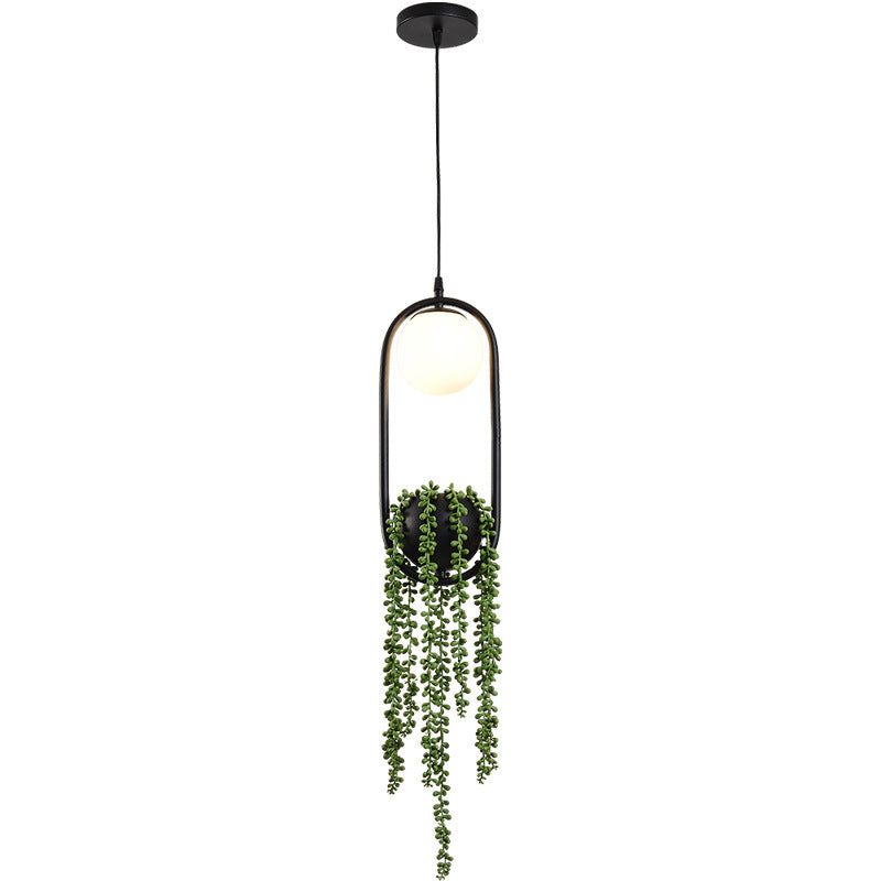 Black 1 Light Spherical Pendant Light Nordic Retro Oval Metal Ring Shade Hanging Lamp with Green Plant