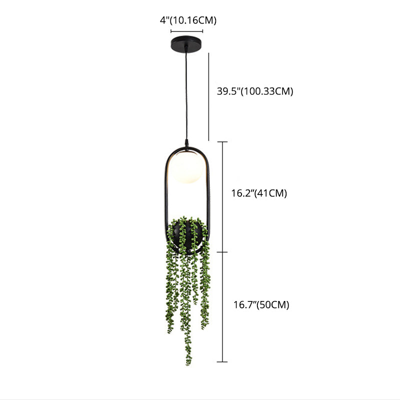 Negro 1 Luz de colgante esférico Luz Lámpara de tono de tono de metal retro retro nórdico nórdico lámpara colgante con planta verde