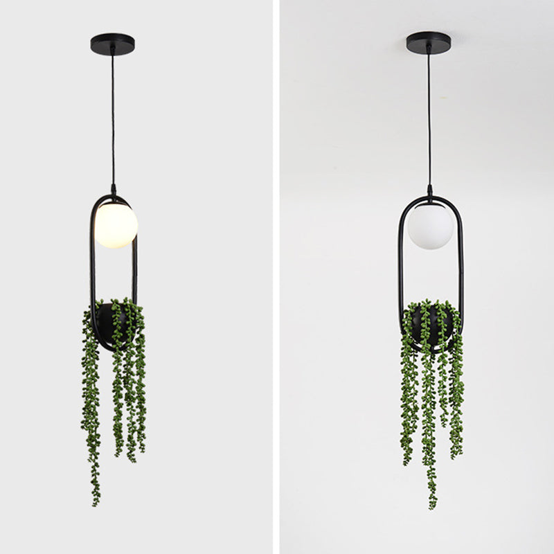 Negro 1 Luz de colgante esférico Luz Lámpara de tono de tono de metal retro retro nórdico nórdico lámpara colgante con planta verde