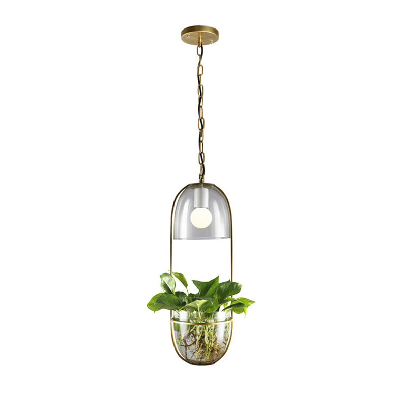 Industrial Ceiling Pendant Glass Plant Light Creative Coffee Shop Restaurant Light (Without Plants)